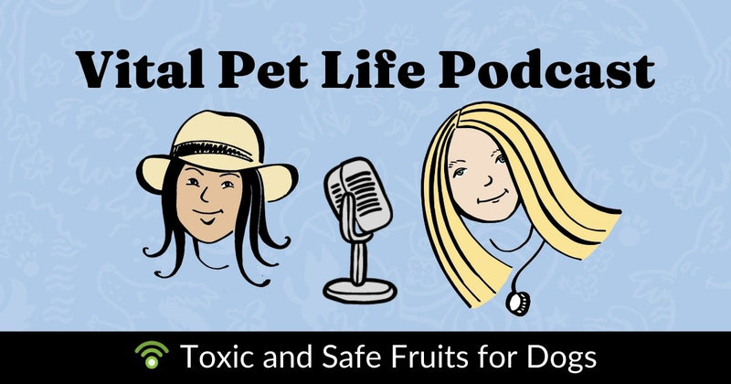 Most Toxic and Healthy Fruits for Dogs