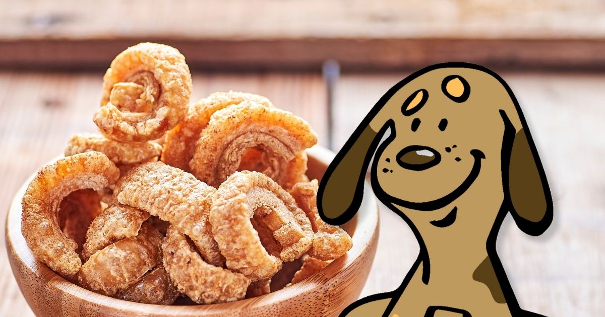 Pork rind dog treats hotsell