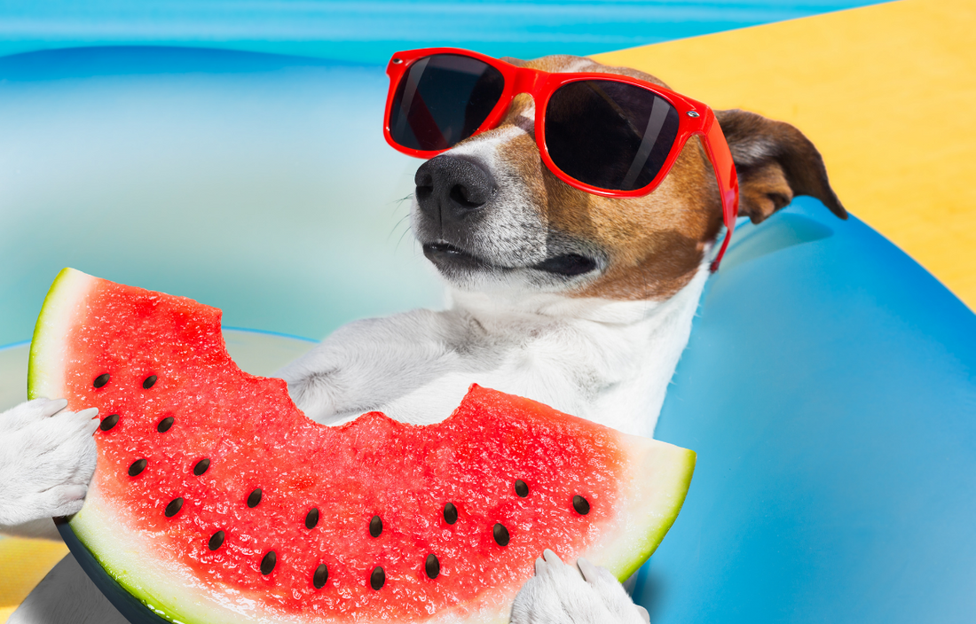 Do dogs best sale eat fruit