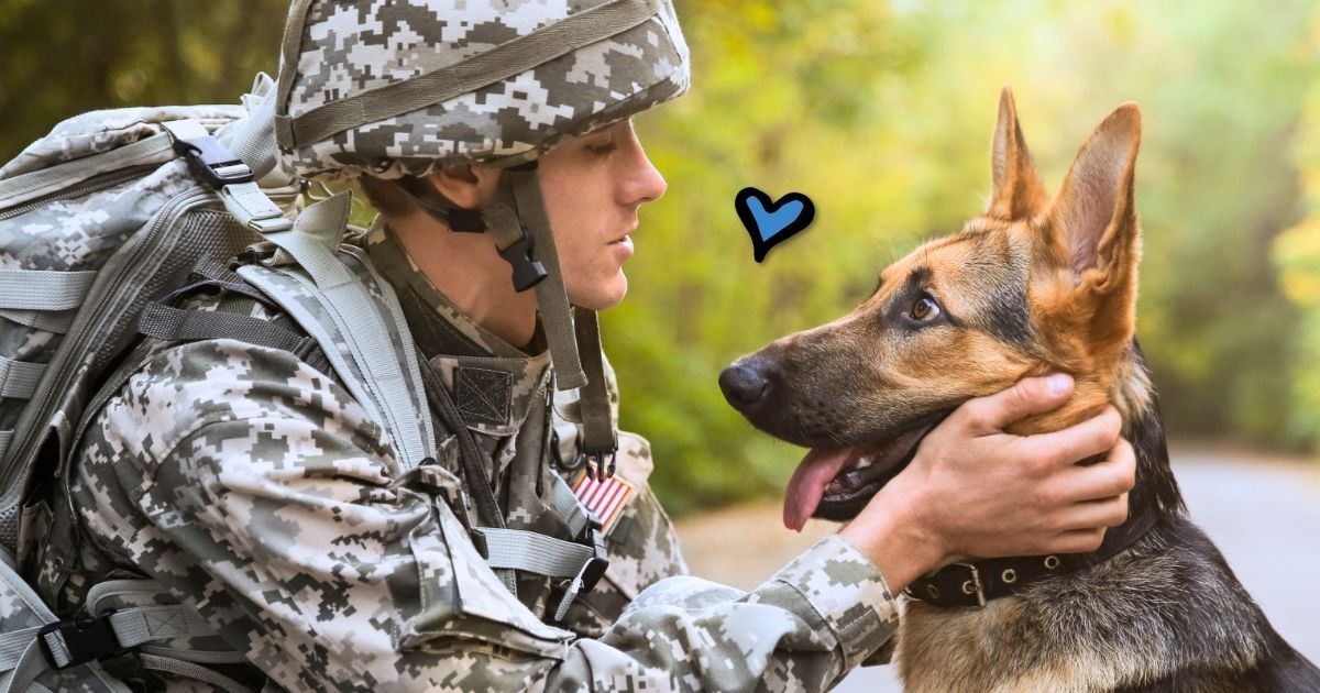 Pets for Veterans