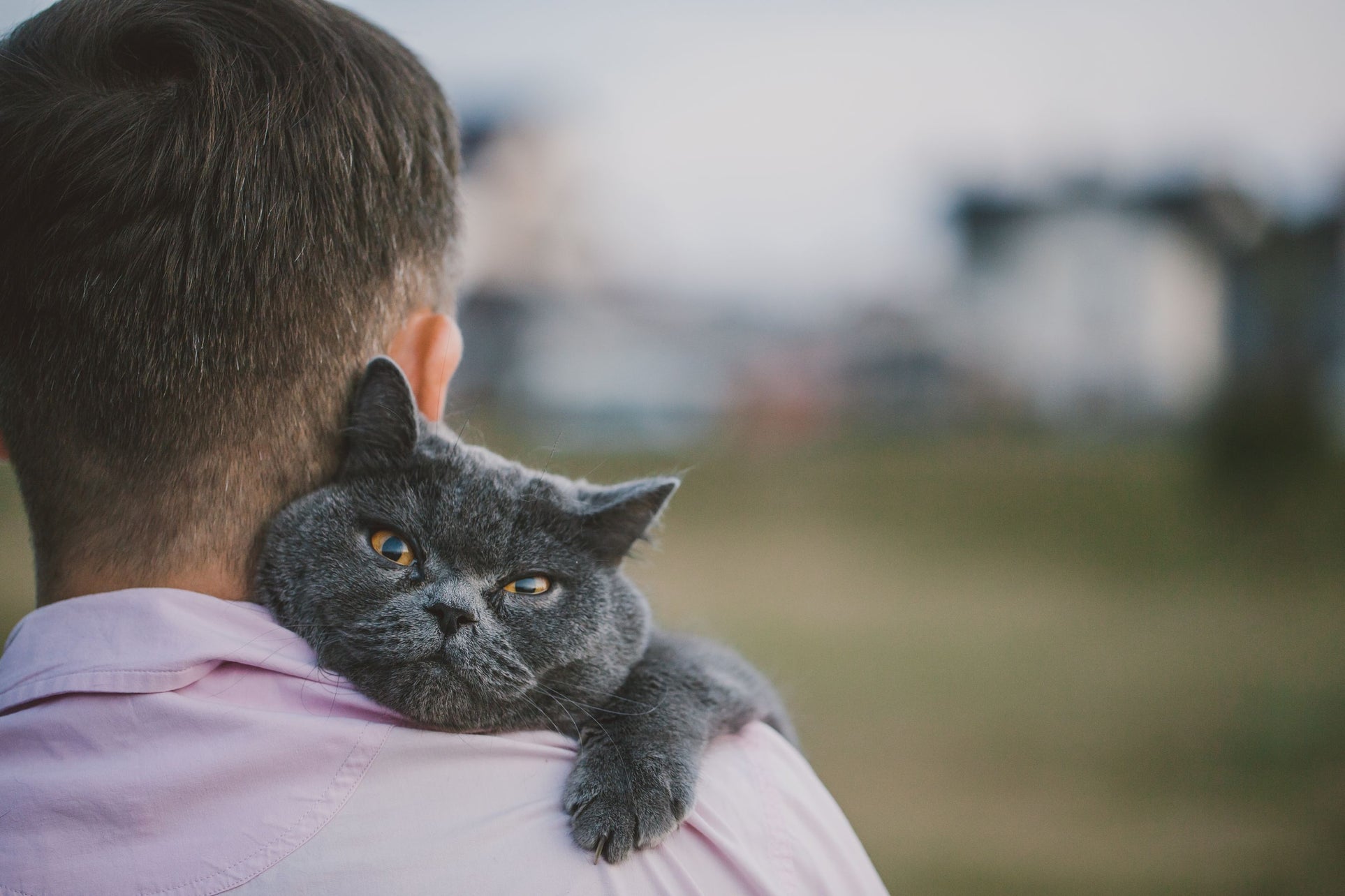 Man hugging cat