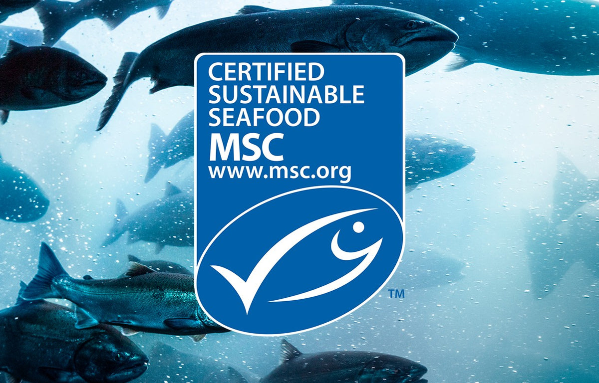 Our Salmon Oil Is MSC Certified Sustainable – Vital Pet Life