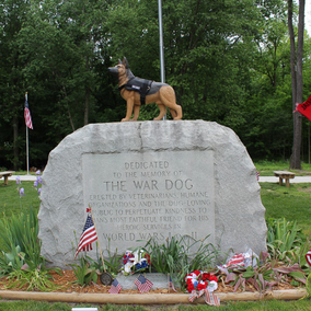 National K9 Veterans Day