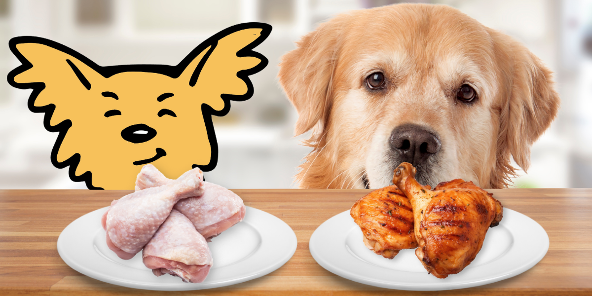 is it safe to feed raw chicken to dogs