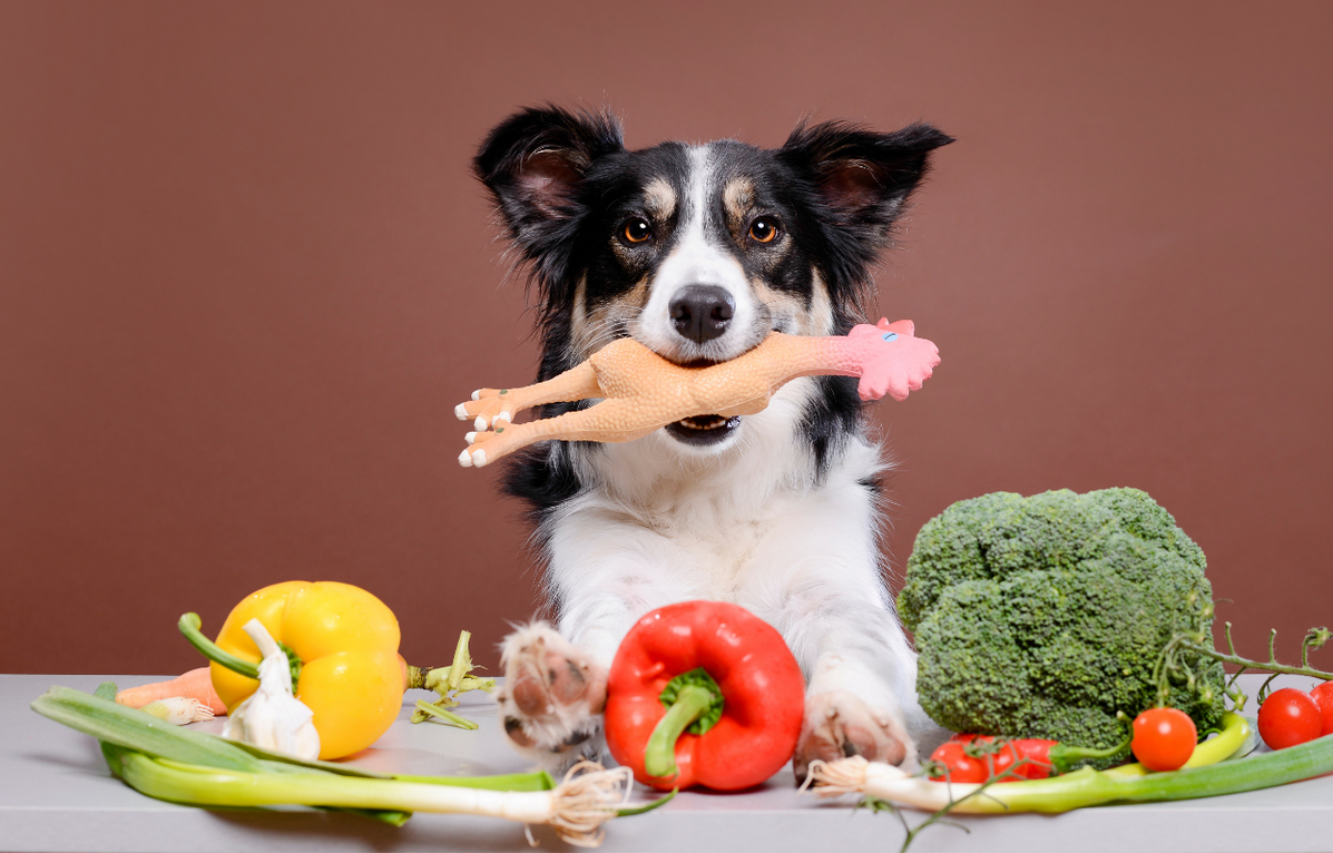 What Vegetables Can Dogs Eat - Vital Pet Life