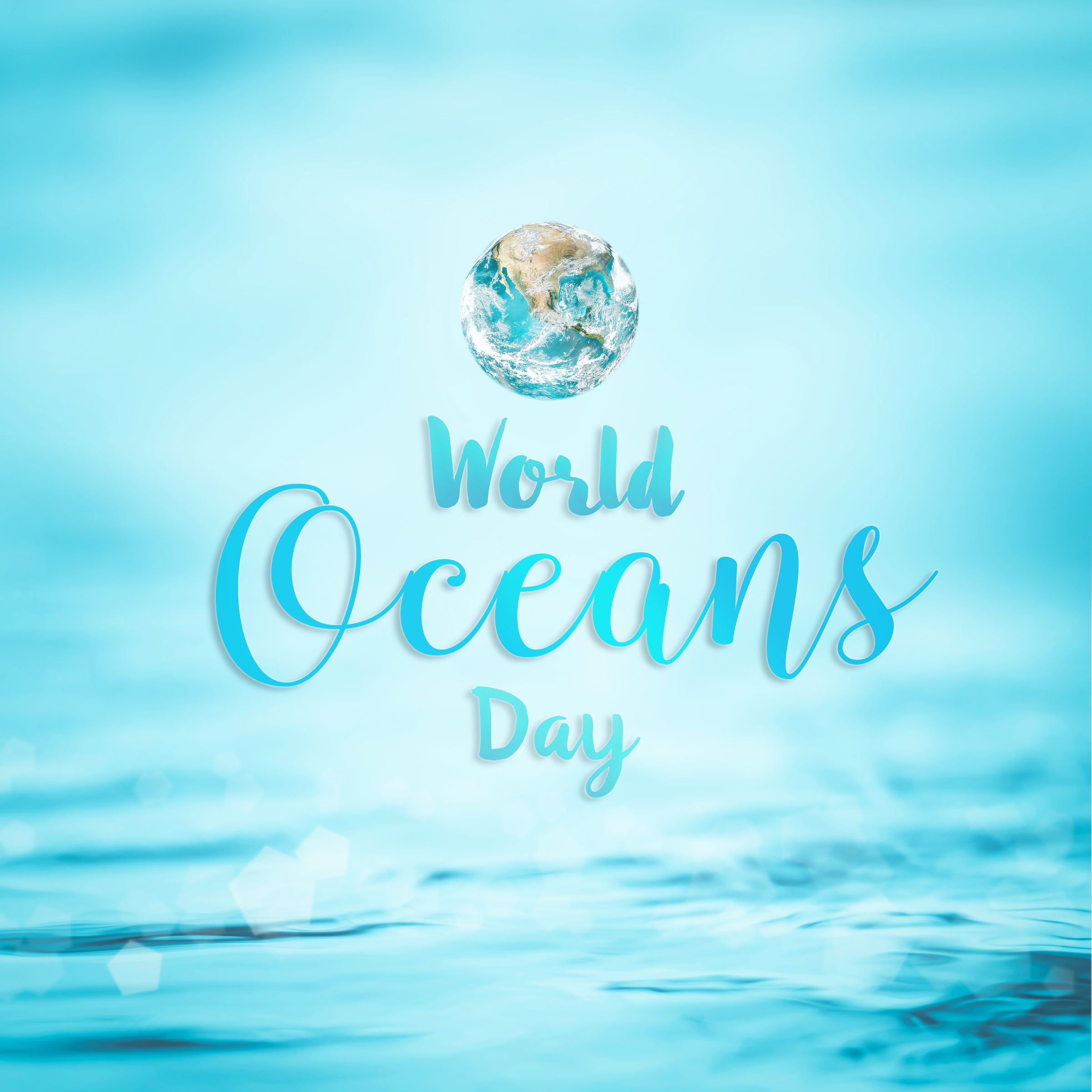 United Nations World Ocean Day – Vital Pet Life