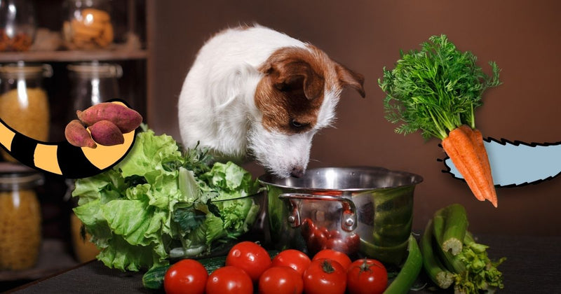 Recipes for National Cook for Your Pet Day