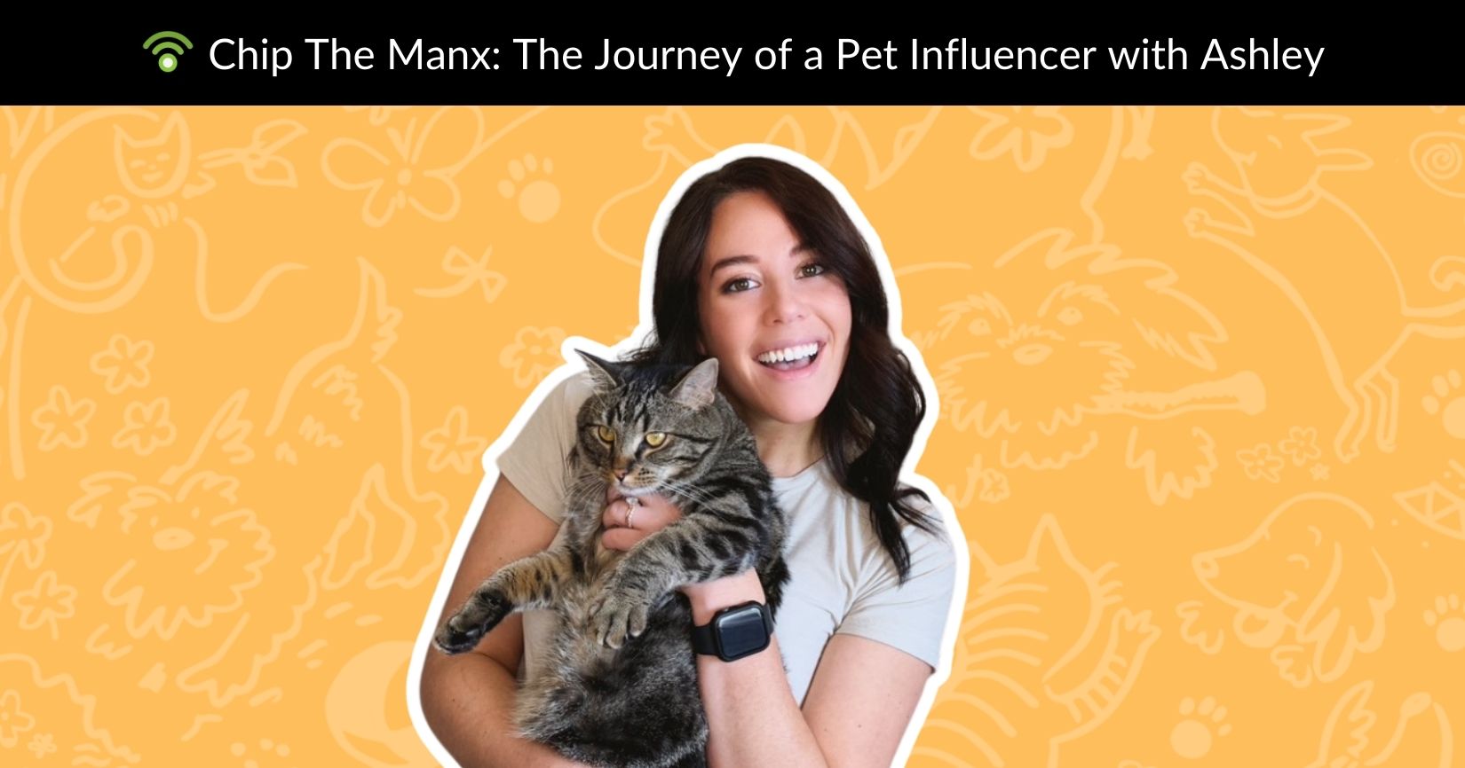 Chip The Manx: The Journey of a Pet Influencer with Ashley