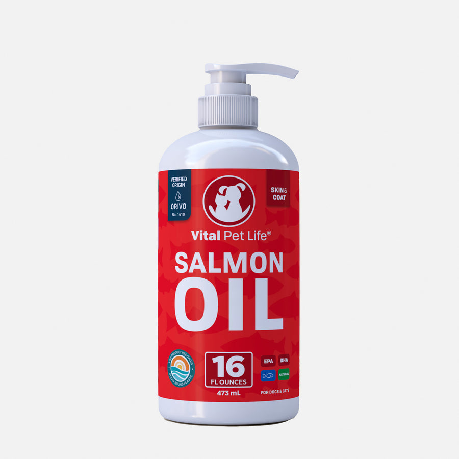 Salmon oil for dogs