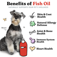 benefits of fish oil for dogs