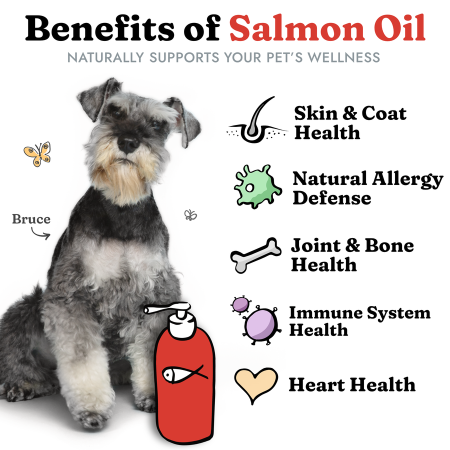 Vital Pet Life Salmon Oil for Dogs Cats Omega 3 EPA DHA