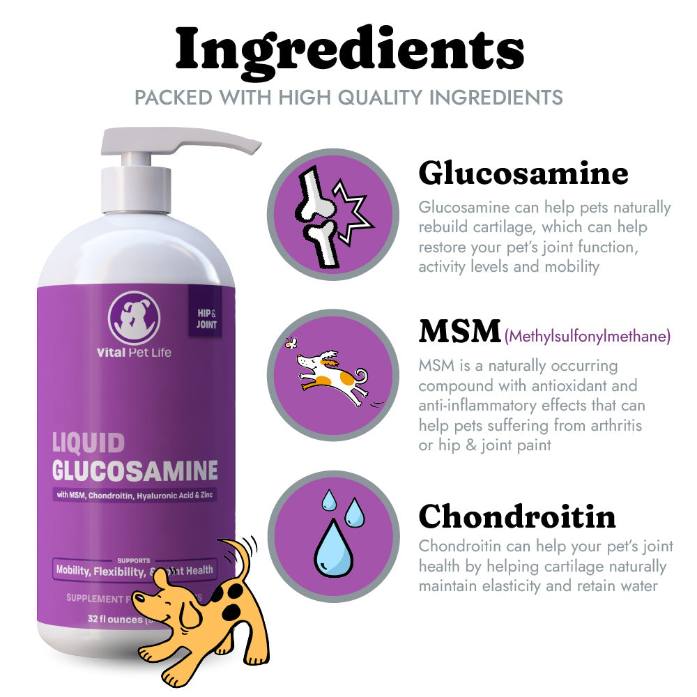 Liquid glucosamine chondroitin for dogs best sale