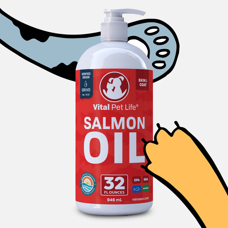 Salmon oil for dogs