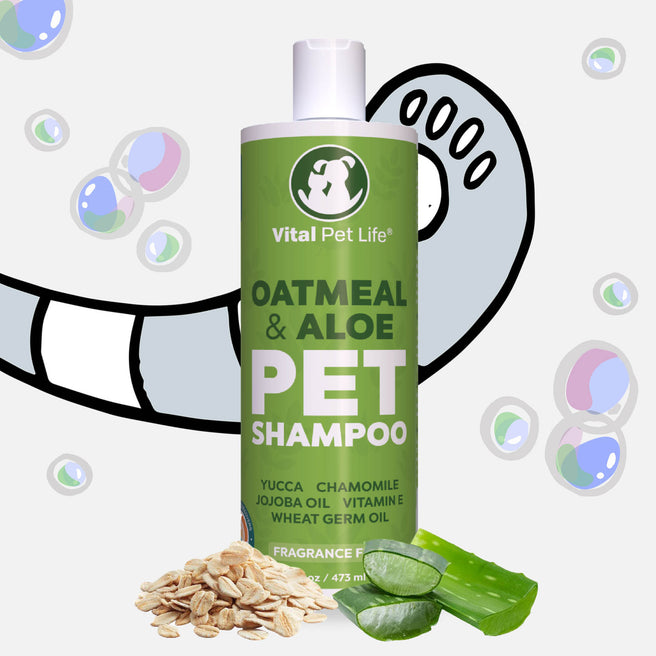 oatmeal aloe shampoo for dogs