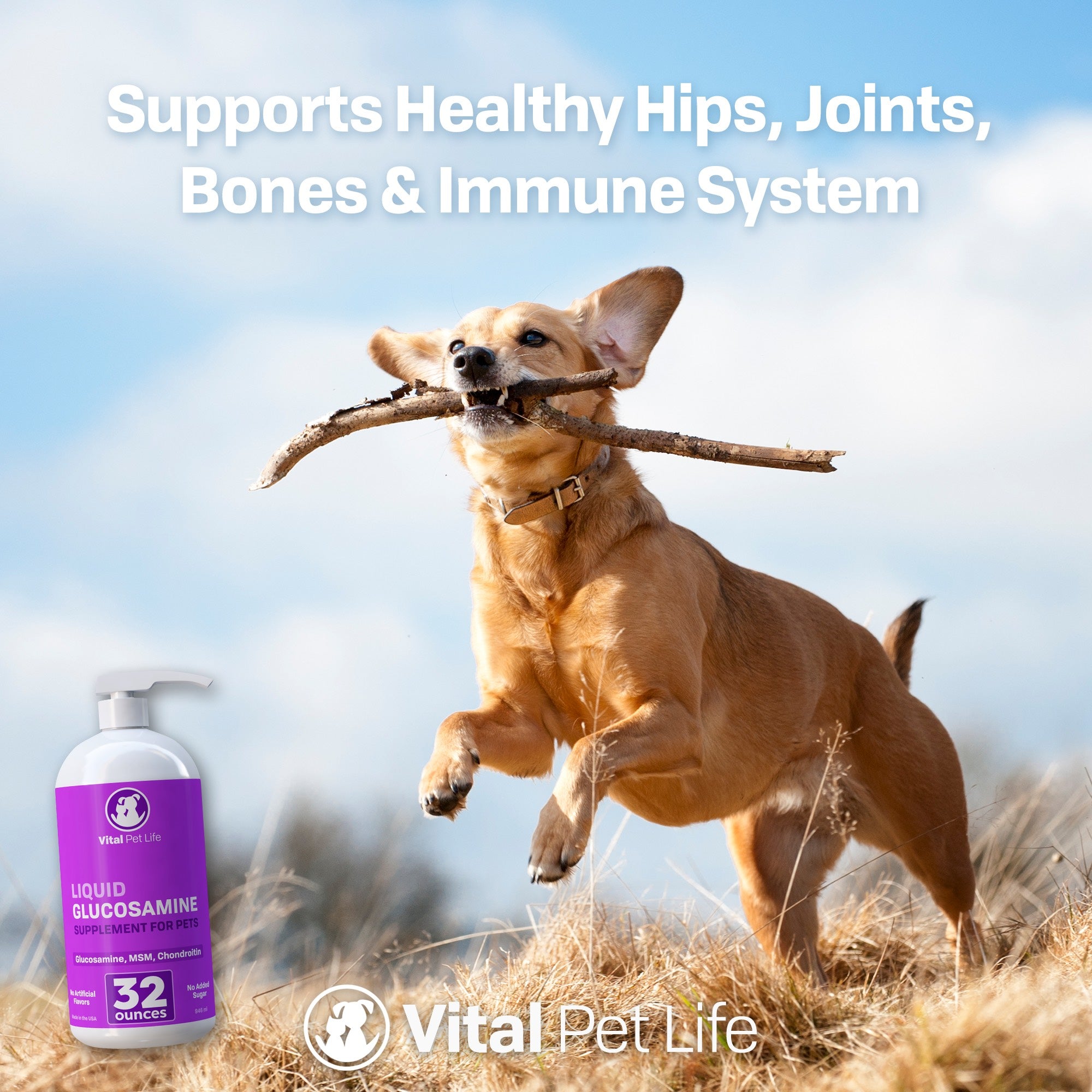 Vital Pet Life Liquid Glucosamine Chondroitin for Dogs Cats