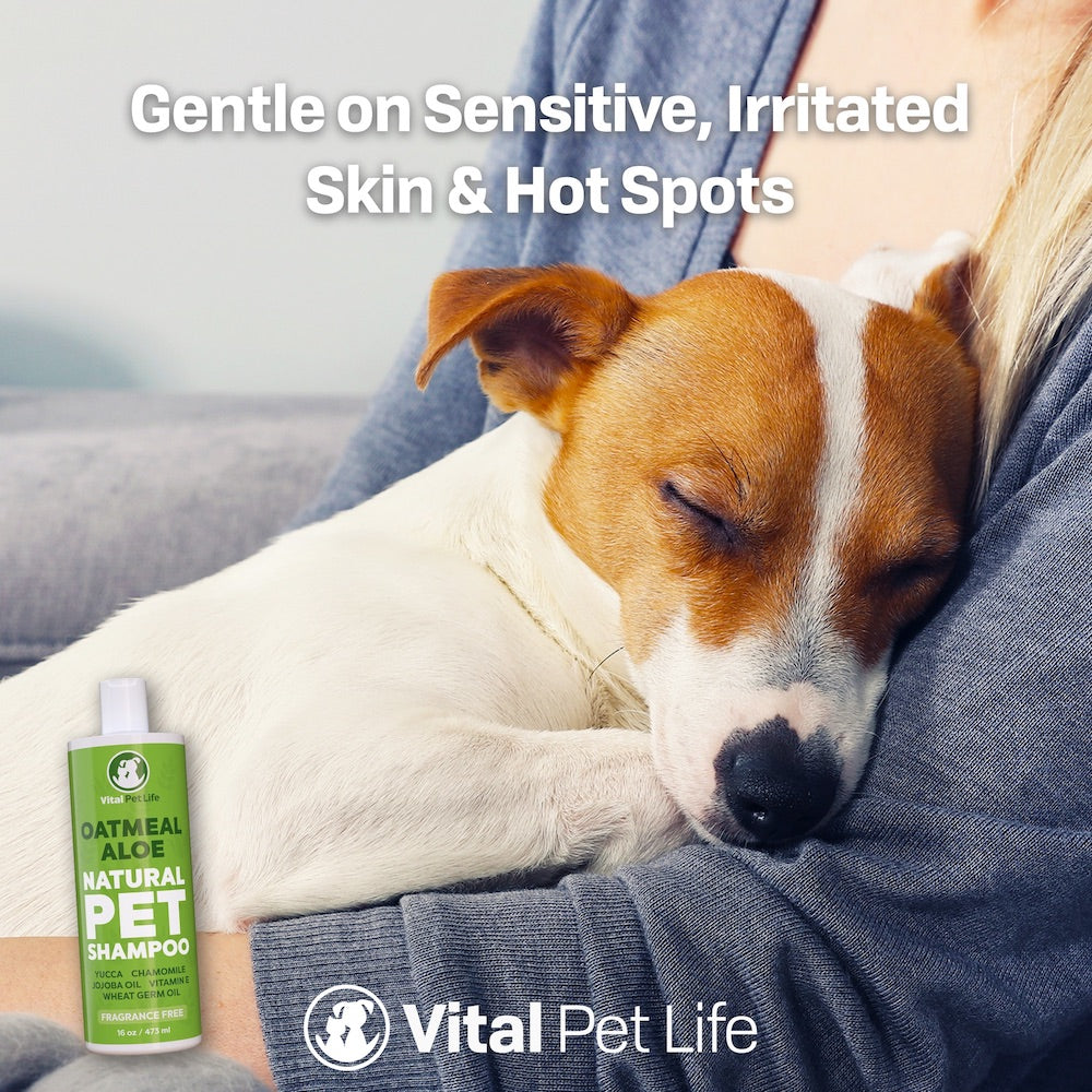 Vital Pet Life Oatmeal and Aloe Natural Shampoo for Dogs Cats